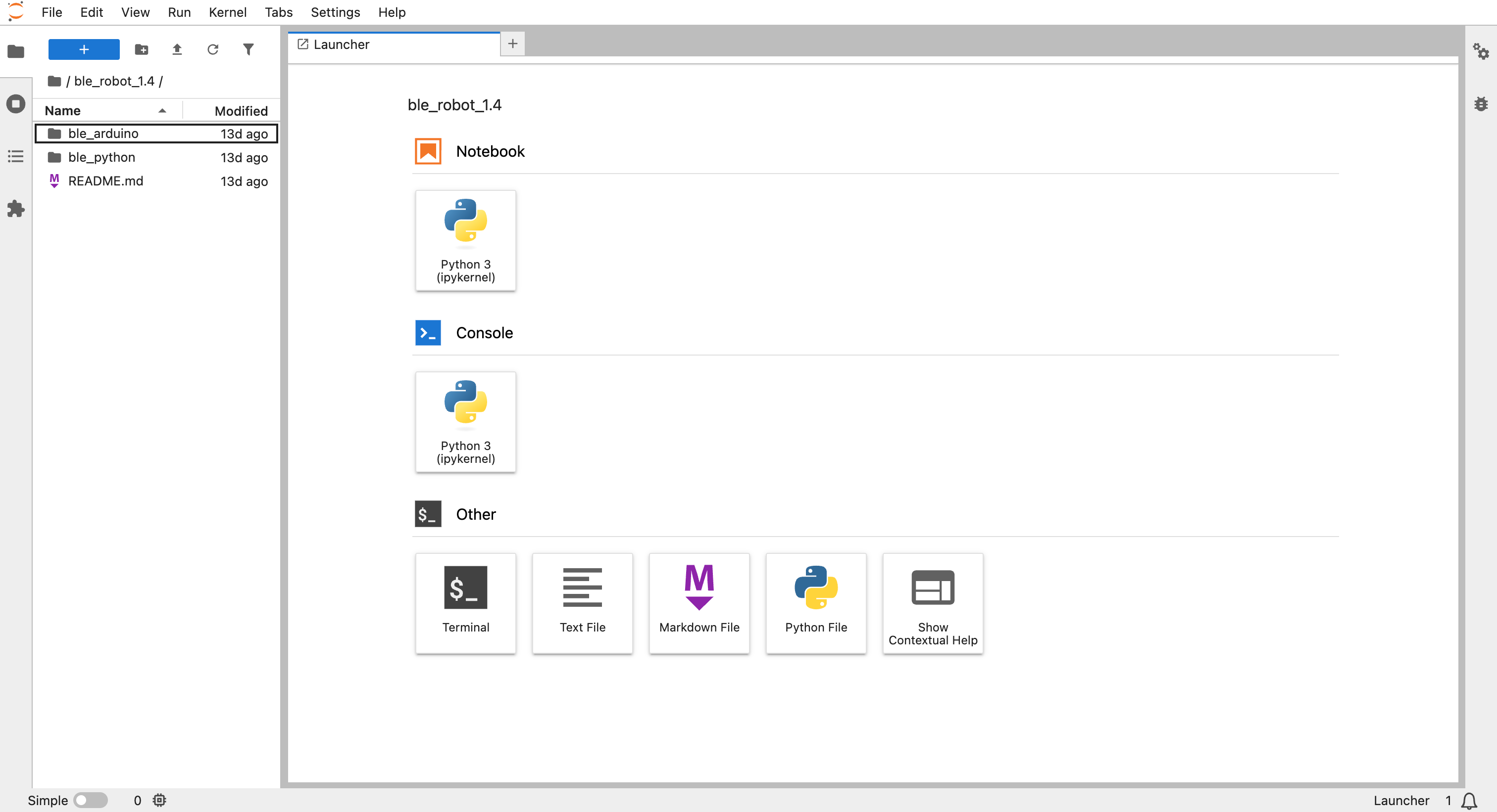 Jupyter Notebook launcher with BLE project directory