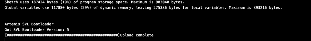 Program memory usage and upload output